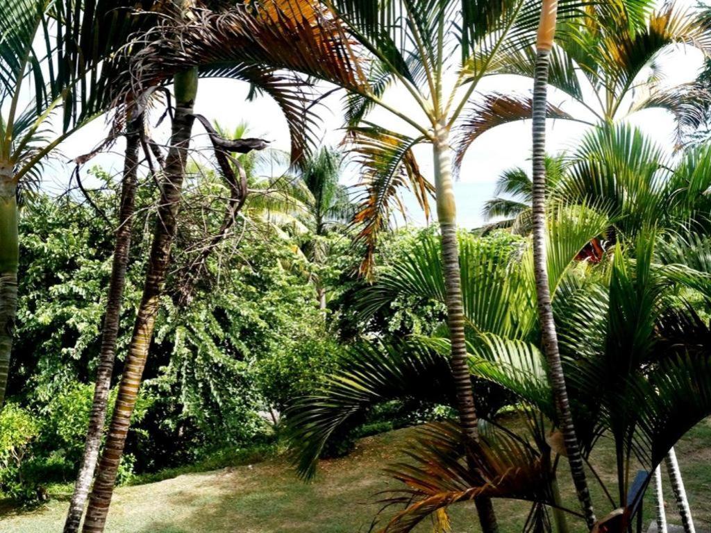Anchorage Beach Resort Viseisei Exterior foto
